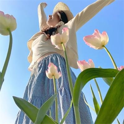 武侠七公主